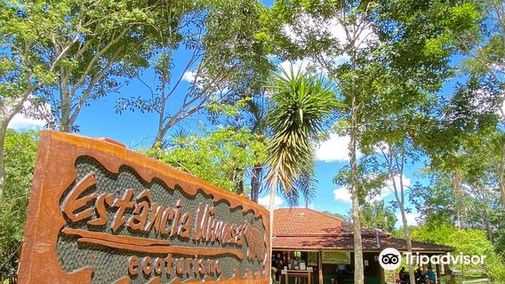 Estância Mimosa Ecoturismo - Cachoeiras em Bonito, MS