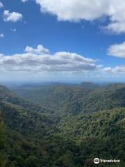 Springbrook National Park