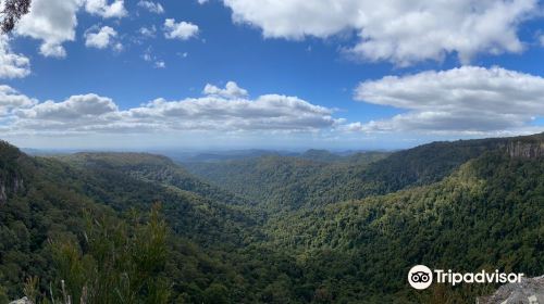 Springbrook National Park