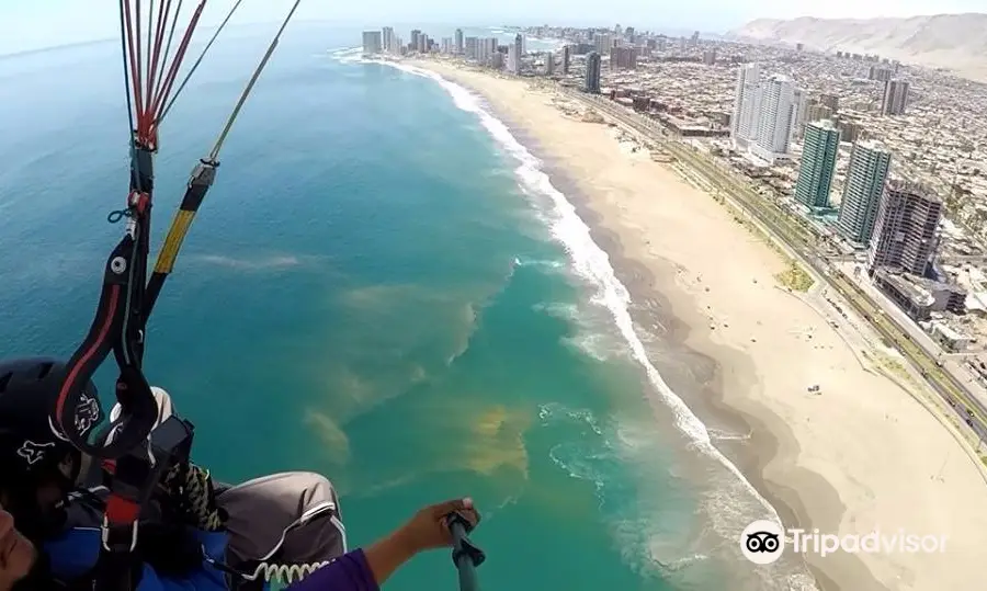 Iquique Zona Parapente