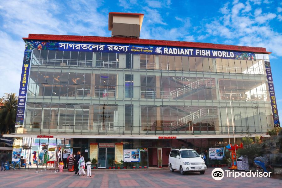 Flights Dhaka to Cox's Bazar