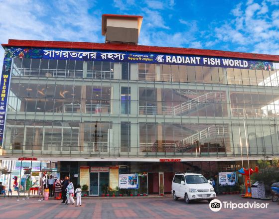 科克斯巴扎爾 自由行套票