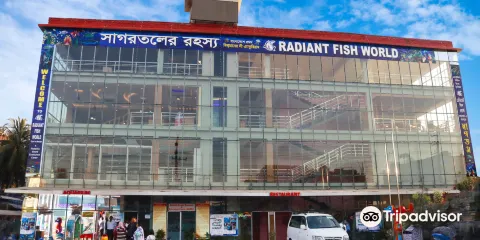 Radiant Fish World