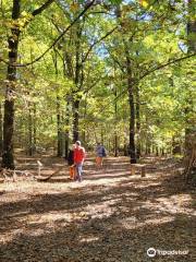 La Gerche walking trail