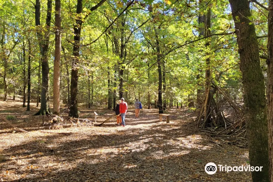 La Gerche walking trail