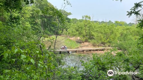 Royal Botanical Gardens - Hendrie Valley Sanctuary (Cherry Hill Gate)