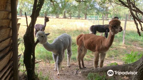 Ferme Les Clautres