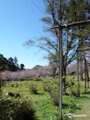 Parque das Cerejeira