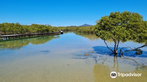 Urunga Boardwalk