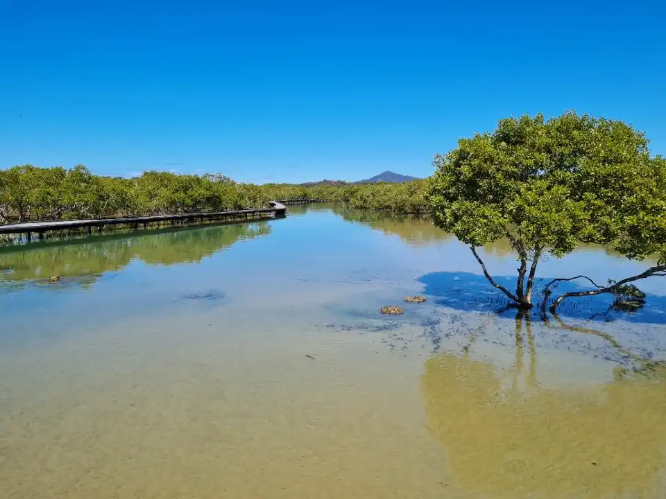 5_Urunga Boardwalk