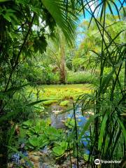 Maire Nui Botanical Gardens