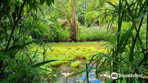 Maire Nui Botanical Gardens