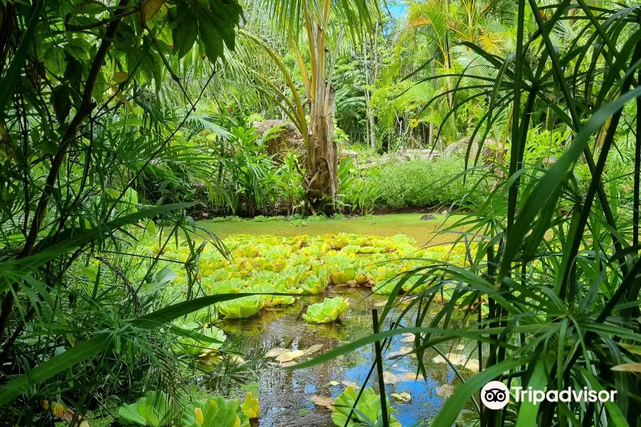 Maire Nui Botanical Gardens