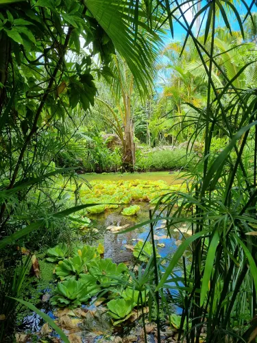 Maire Nui Botanical Gardens