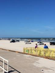 Michael J. Ellis Beach and Seawall