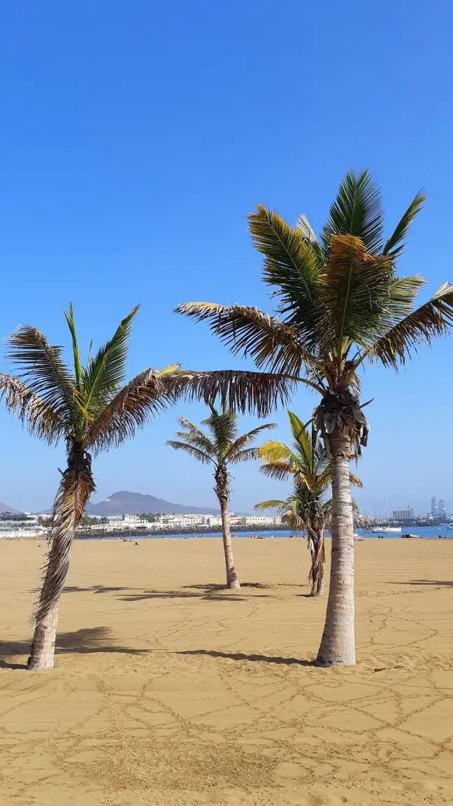 Hotels near Playa de Las Alcaravaneras