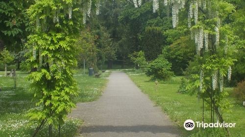 Kurpark Bad Krozingen