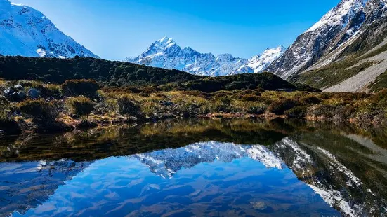 Aoraki/Mt. Cook