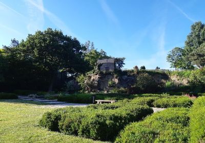 Parc Floral de la Beaujoire