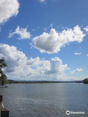 Tinchi Tamba Wetlands