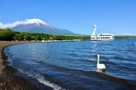 旭日丘湖畔緑地公園附近的飯店