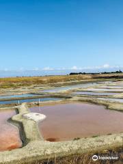 Salines du Breuil