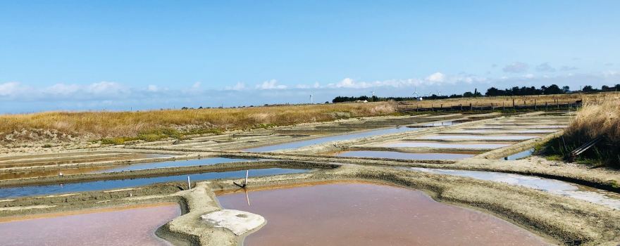 Salines du Breuil