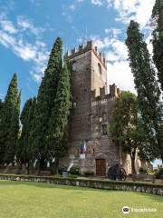 Castle of Conegliano