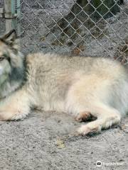 Shy Wolf Sanctuary Education & Experience Center