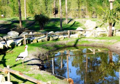 Zoo Arcachon Basin