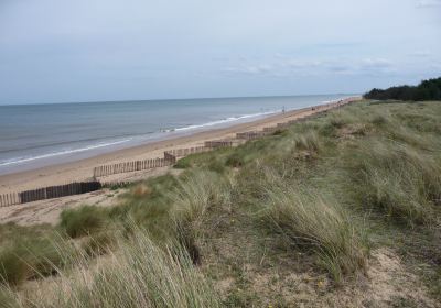 Holme Dunes National Nature Reserve