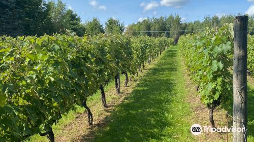 Au Vignoble d'Orford