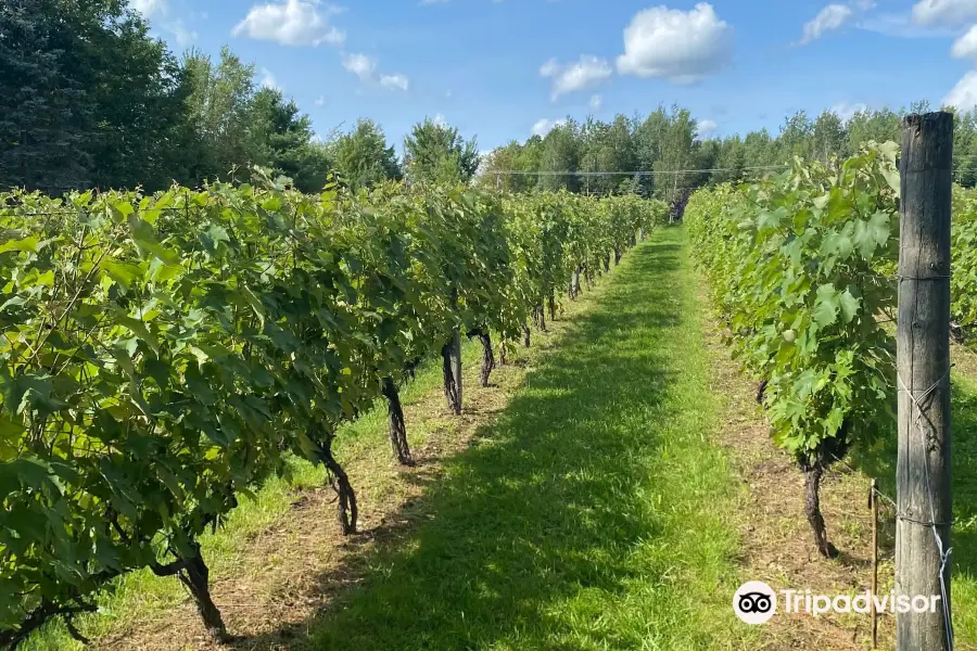 Au Vignoble d'Orford