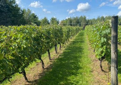 Au Vignoble d'Orford