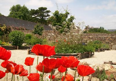 Ancienne Abbaye de Landévennec