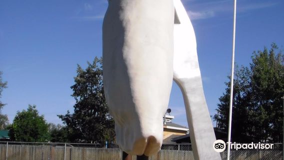 World's Largest Pyrogy