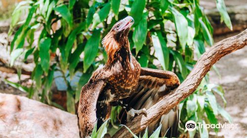 Rockhampton Zoo