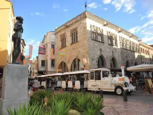 Le Petit Train de Perpignan