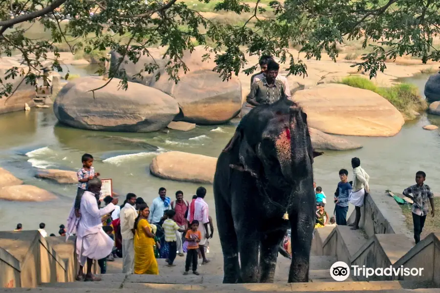 Lakshmi the Elephant