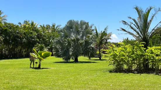 Jardin des 1001 saveurs