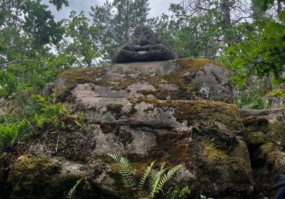 Gamleby Trollskogen