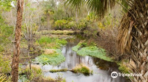 Tiger Creek Preserve