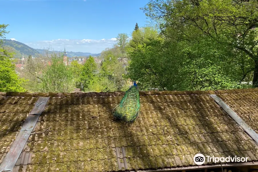 Schwarzwaldzoo Waldkirch