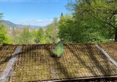 Schwarzwaldzoo Waldkirch