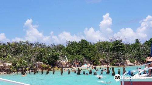 Cayo ICACOS