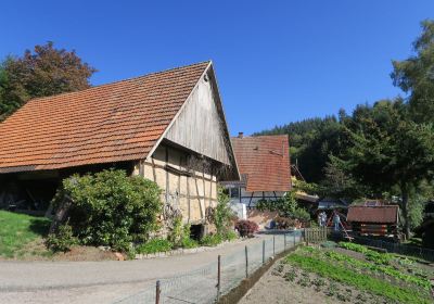 Chemin des Moulins