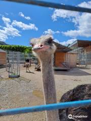 Nalchik Zoo