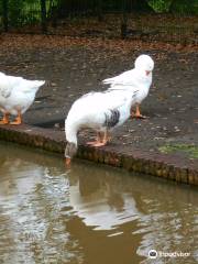 Stadsboerderij Beeklust