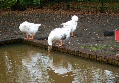 Stadsboerderij Beeklust