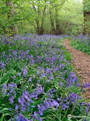 Pendeford Mill Nature Reserve